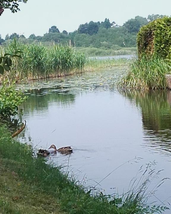 Restaurant Seeidyll